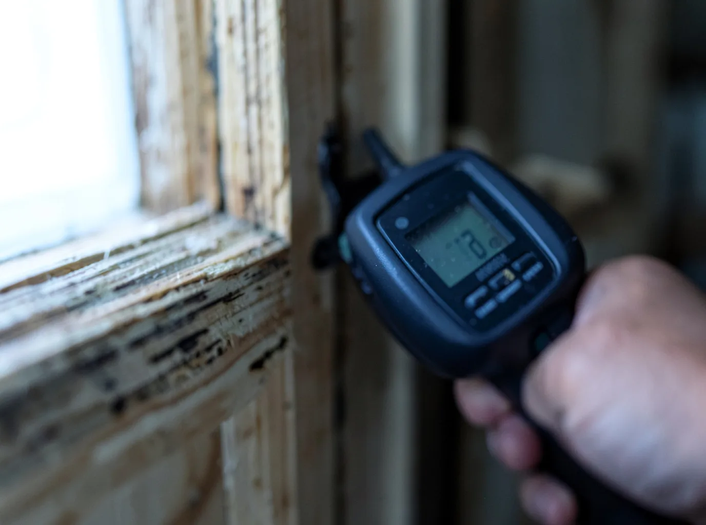 Commercial Water Damage Restoration in Trappe, MD